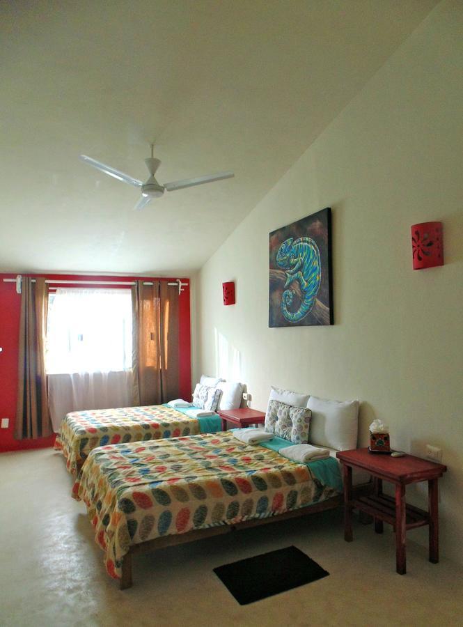 Art Hotel Tulum Exteriér fotografie